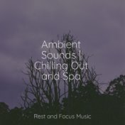 Ambient Sounds | Chilling Out and Spa