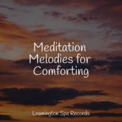 Meditation Melodies for Comforting