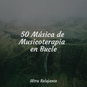 50 Música de Musicoterapia en Bucle