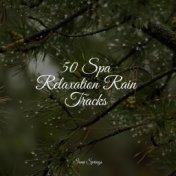 50 Spa Relaxation Rain Tracks