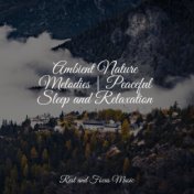 Ambient Nature Melodies | Peaceful Sleep and Relaxation