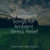 50 Ambient Songs for Ambient Stress Relief