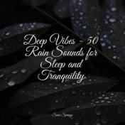 50 Natural Rain Sounds for Deep Sleep