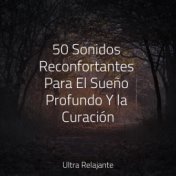 50 Sonidos Reconfortantes Para El Sueño Profundo Y la Curación