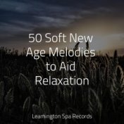 50 Soft New Age Melodies to Aid Relaxation