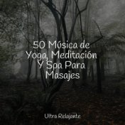 50 Música de Yoga, Meditación Y Spa Para Masajes