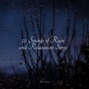 50 Sounds of Rain and Relaxation Songs