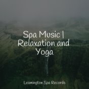 Spa Music | Relaxation and Yoga