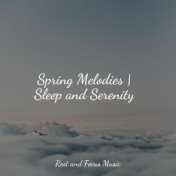 Spring Melodies | Sleep and Serenity
