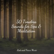50 Timeless Sounds for Spa & Meditation
