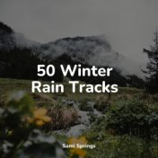 50 Winter Rain Tracks