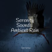 Serenity Sounds: Ambient Rain