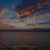 Soft Nature Melodies | Total Relaxation