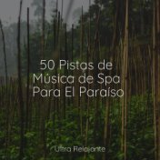 50 Pistas de Música de Spa Para El Paraíso