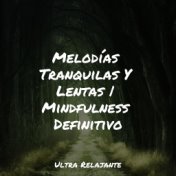 Melodías Tranquilas Y Lentas | Mindfulness Definitivo
