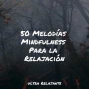 50 Melodías Mindfulness Para la Relajación