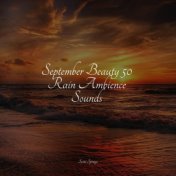 September Beauty 50 Rain Ambience Sounds