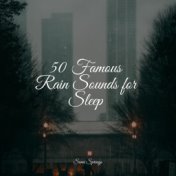 50 Famous Rain Sounds for Sleep