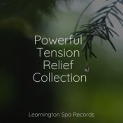 Powerful Tension Relief Collection