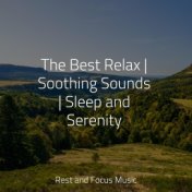 The Best Relax | Soothing Sounds | Sleep and Serenity