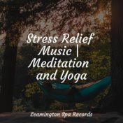 Stress Relief Music | Meditation and Yoga