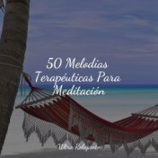 50 Melodías Terapéuticas Para Meditación