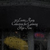 50 Exotic Rain Collection for Calming Yoga Flow