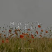 Mantras Zen de Meditación