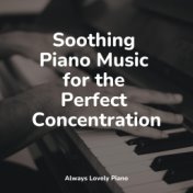 Soothing Piano Music for the Perfect Concentration