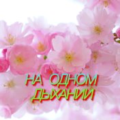 На одном дыхании