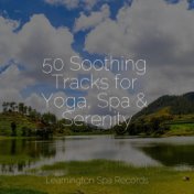 50 Soothing Tracks for Yoga, Spa & Serenity