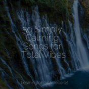 50 Simply Calming Songs for Total Vibes