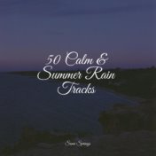 50 Calm & Summer Rain Tracks