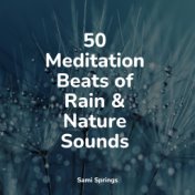 50 Meditation Beats of Rain & Nature Sounds