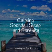 Calming Sounds | Sleep and Serenity