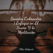 Sonidos Calmantes | Enfoque en El Sueño Y la Meditación