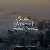 Soothing Melodies | Instant Serenity