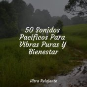 50 Sonidos Pacíficos Para Vibras Puras Y Bienestar