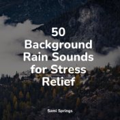 50 Background Rain Sounds for Stress Relief