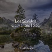 Los Sonidos Calmantes | Spa Zen