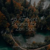 50 Ambient Sounds for Zen Spa