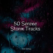 50 Serene Storm Tracks