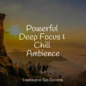 Powerful Deep Focus & Chill Ambience