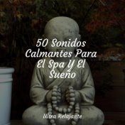 50 Sonidos Calmantes Para El Spa Y El Sueño