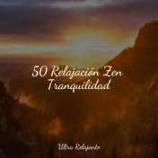 50 Relajación Zen Tranquilidad