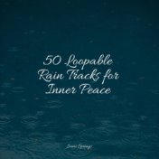 50 Loopable Rain Tracks for Inner Peace