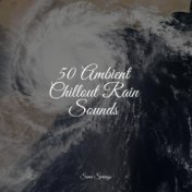 50 Ambient Chillout Rain Sounds