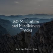 50 Meditation and Mindfulness Tracks