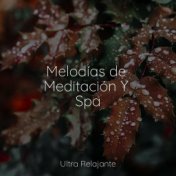 Melodías de Meditación Y Spa