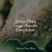 Spring Sleepy Songs: Acoustic Compilation